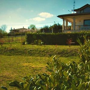 Radices Guest House